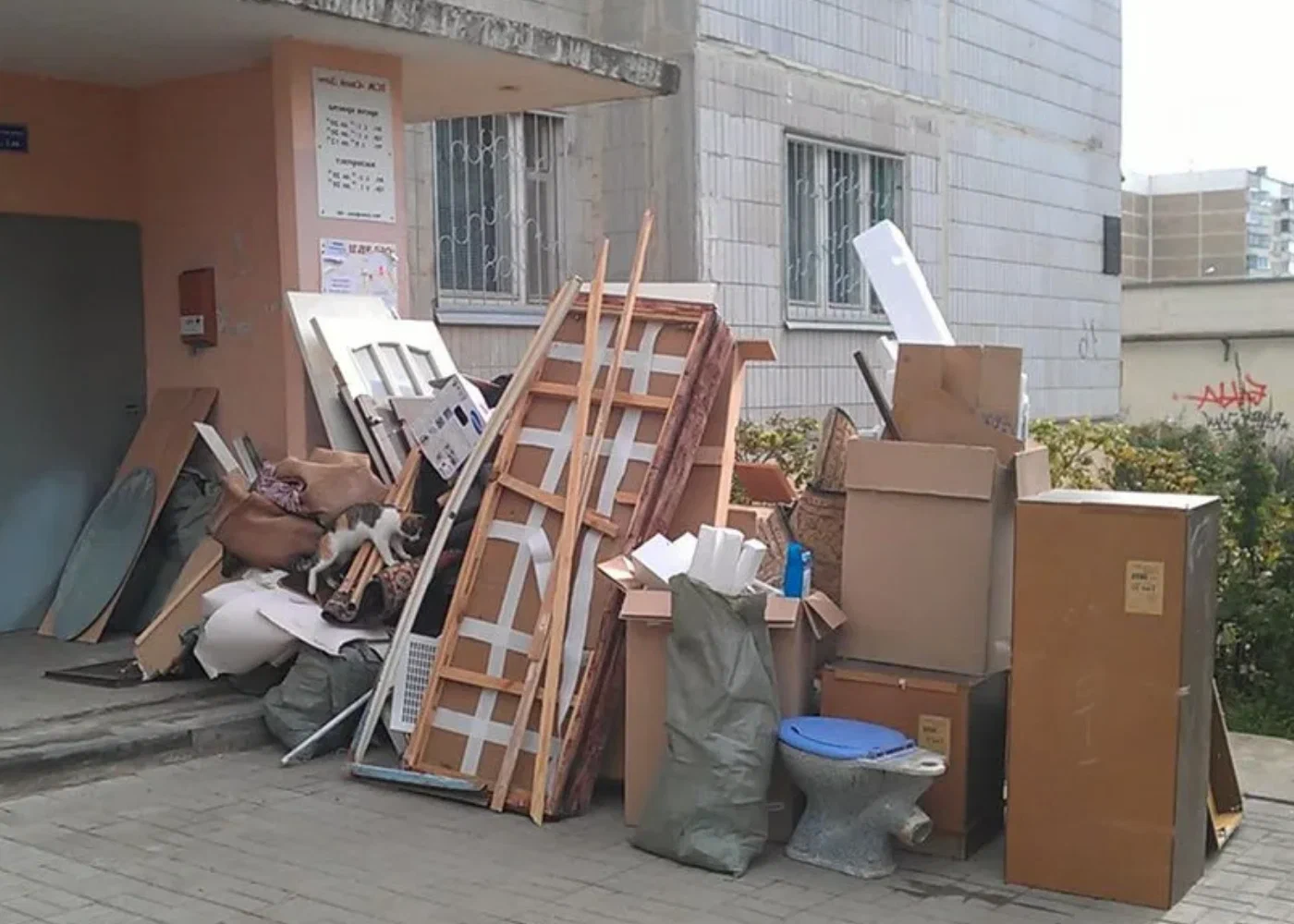 Профессиональный вывоз мусора из квартиры в Куйбышеве в октябре