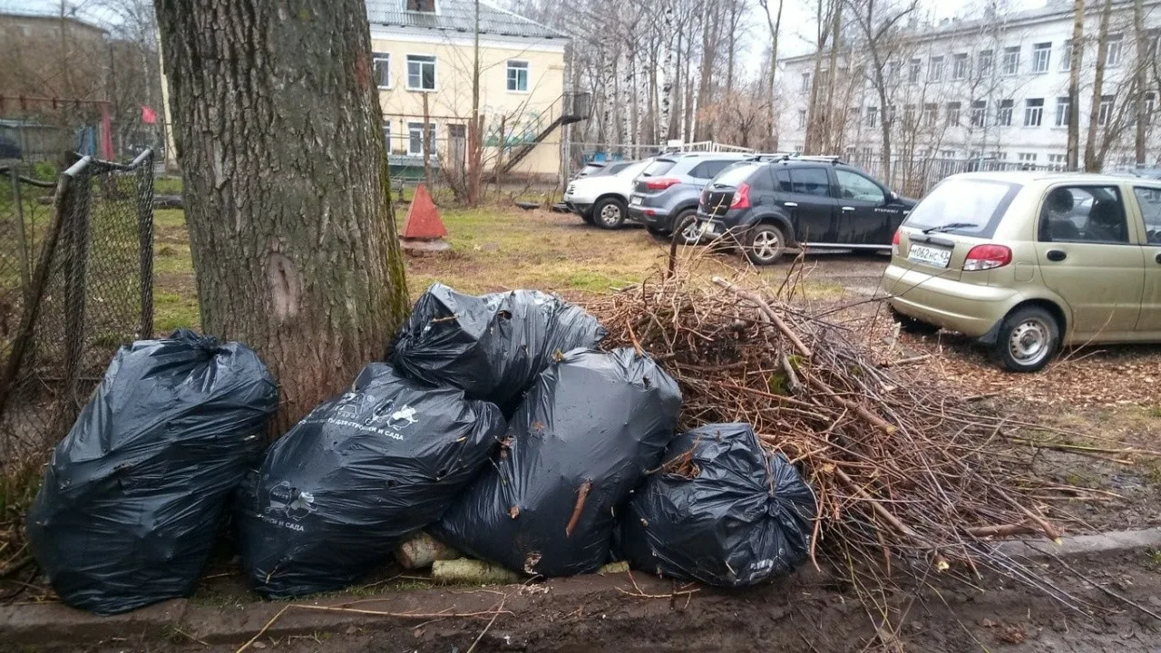 Вывоз мусора после субботника в Куйбышеве от ПроМусор – уборка и утилизация отходов от 2437 руб