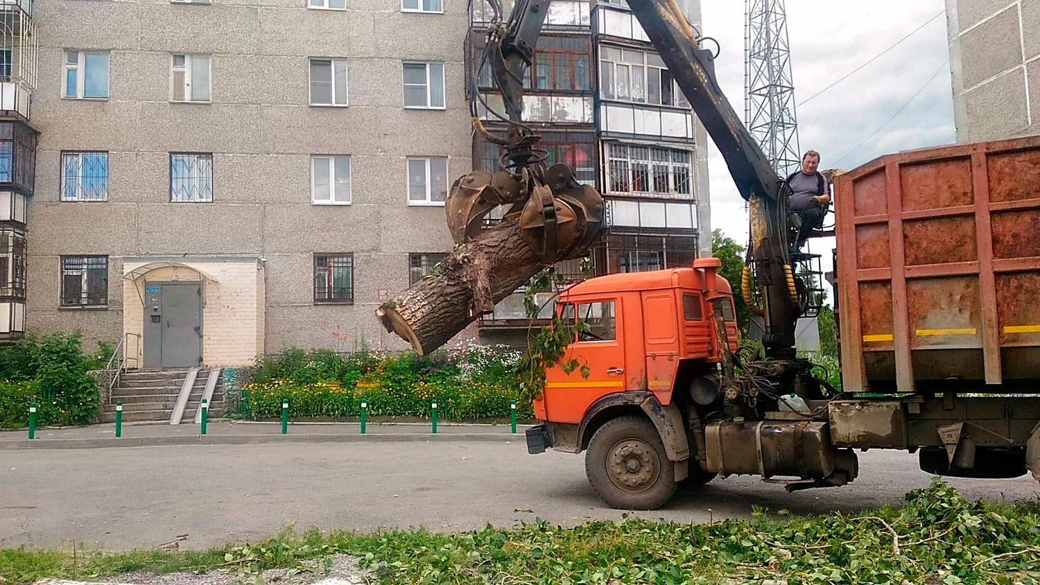 Вывоз спиленных веток и деревьев в Куйбышеве от ПроМусор: порубочные остатки, утилизация, цена от 3007 руб