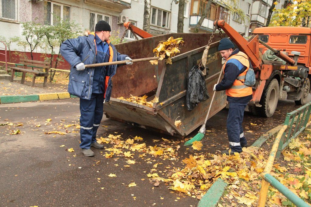Вывоз опавшей листвы и растительного мусора в Куйбышеве от ПроМусор – цена от 4666 руб., быстрая уборка и утилизация